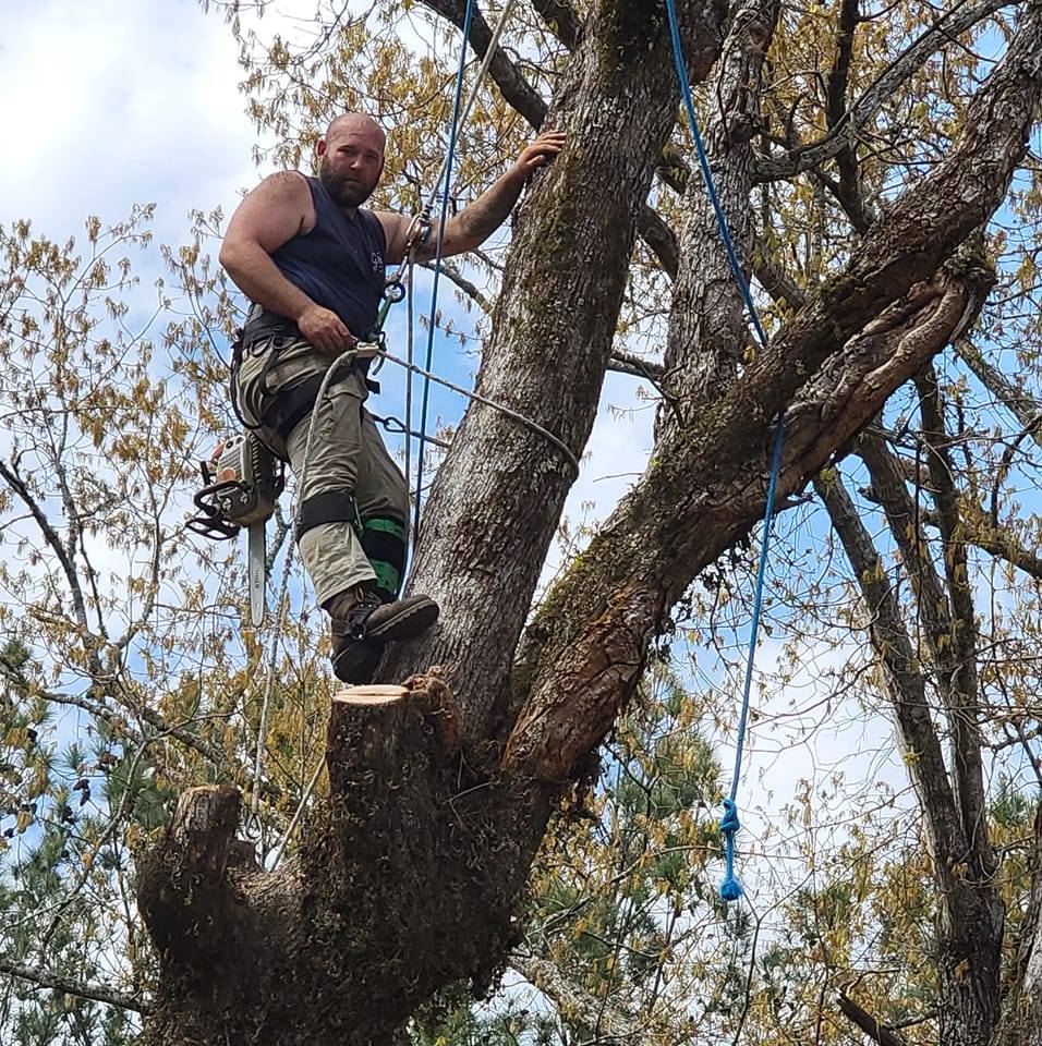 Simmons Tree Service | Jasper AL