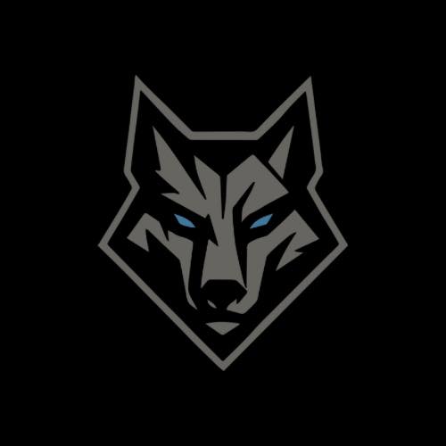 Nexuswolfdesign
