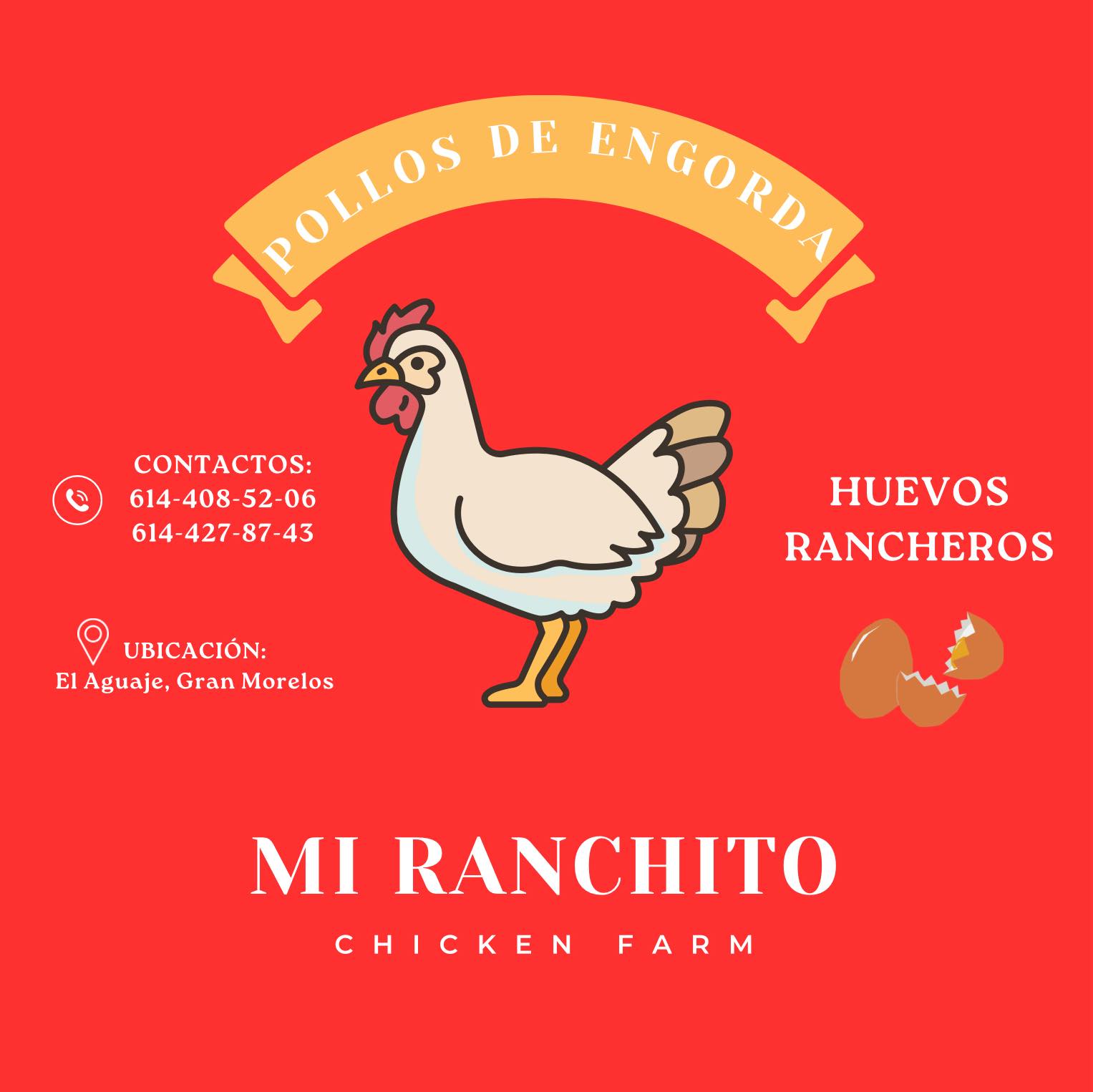 Mi Ranchito ”Chicken Farm”