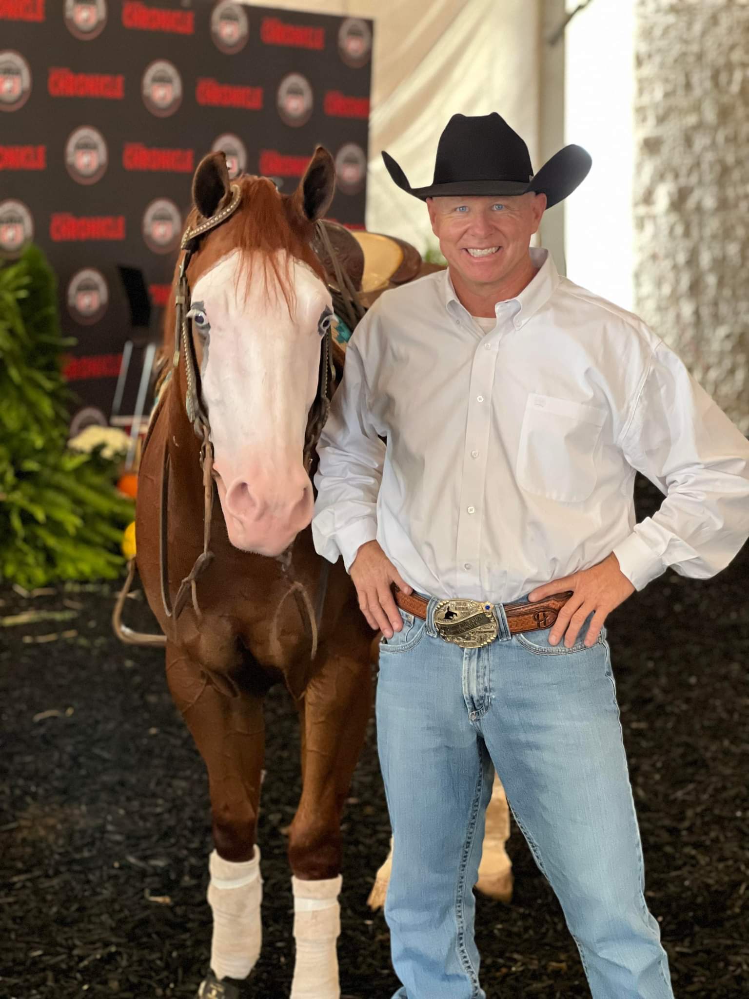 Hull Performance Horses