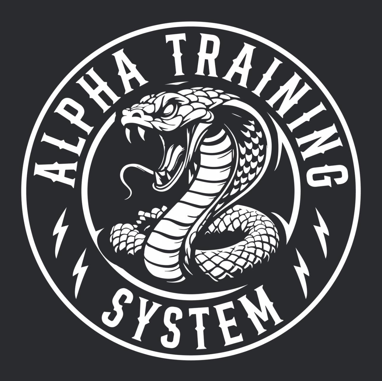 Alpha Training System