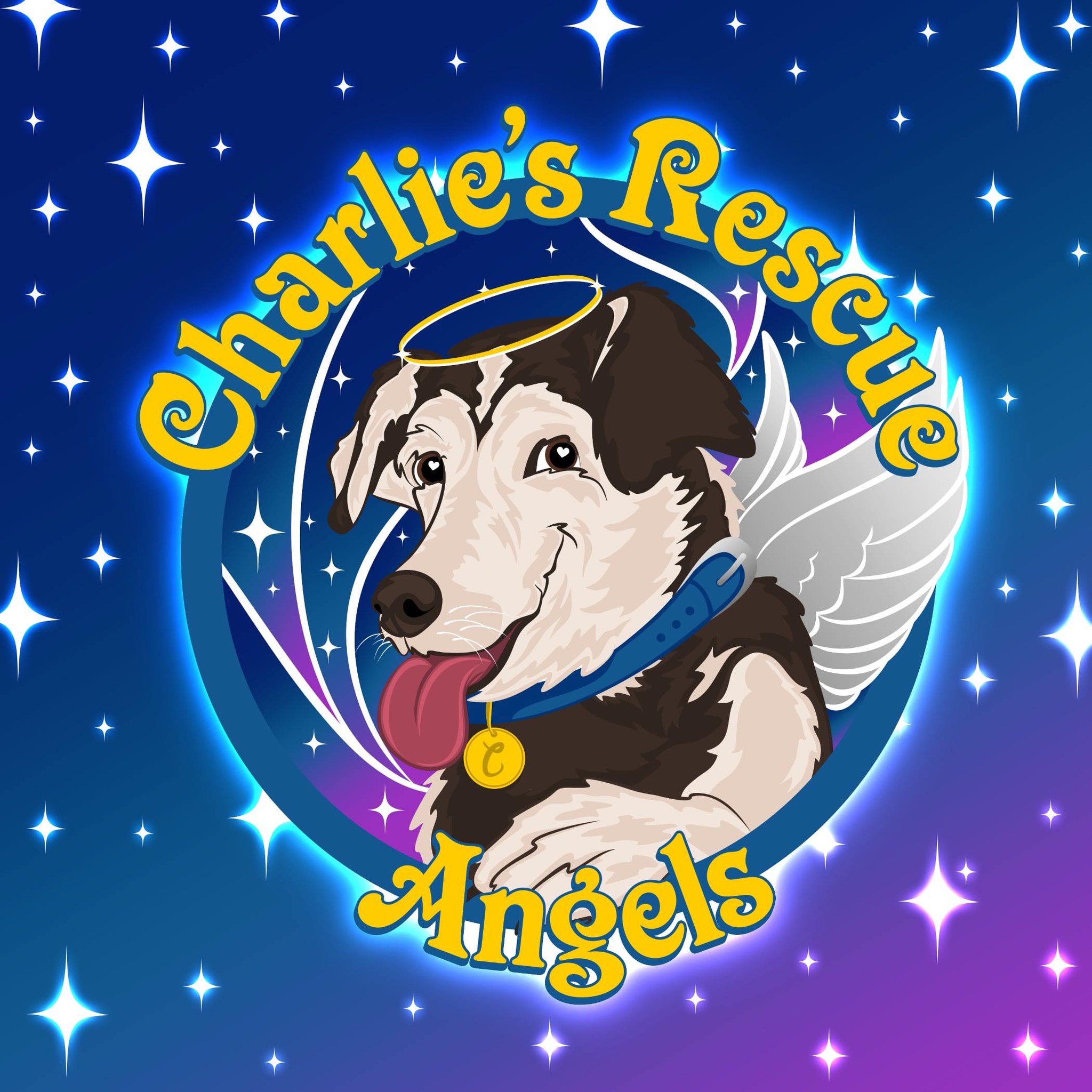 Charlie’s Rescue Angels | Buffalo NY