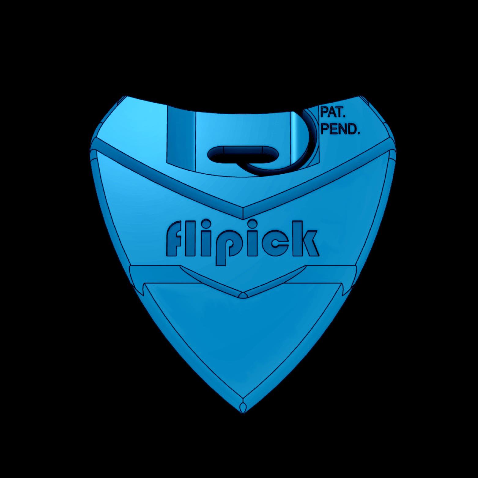 Guitar Flipick