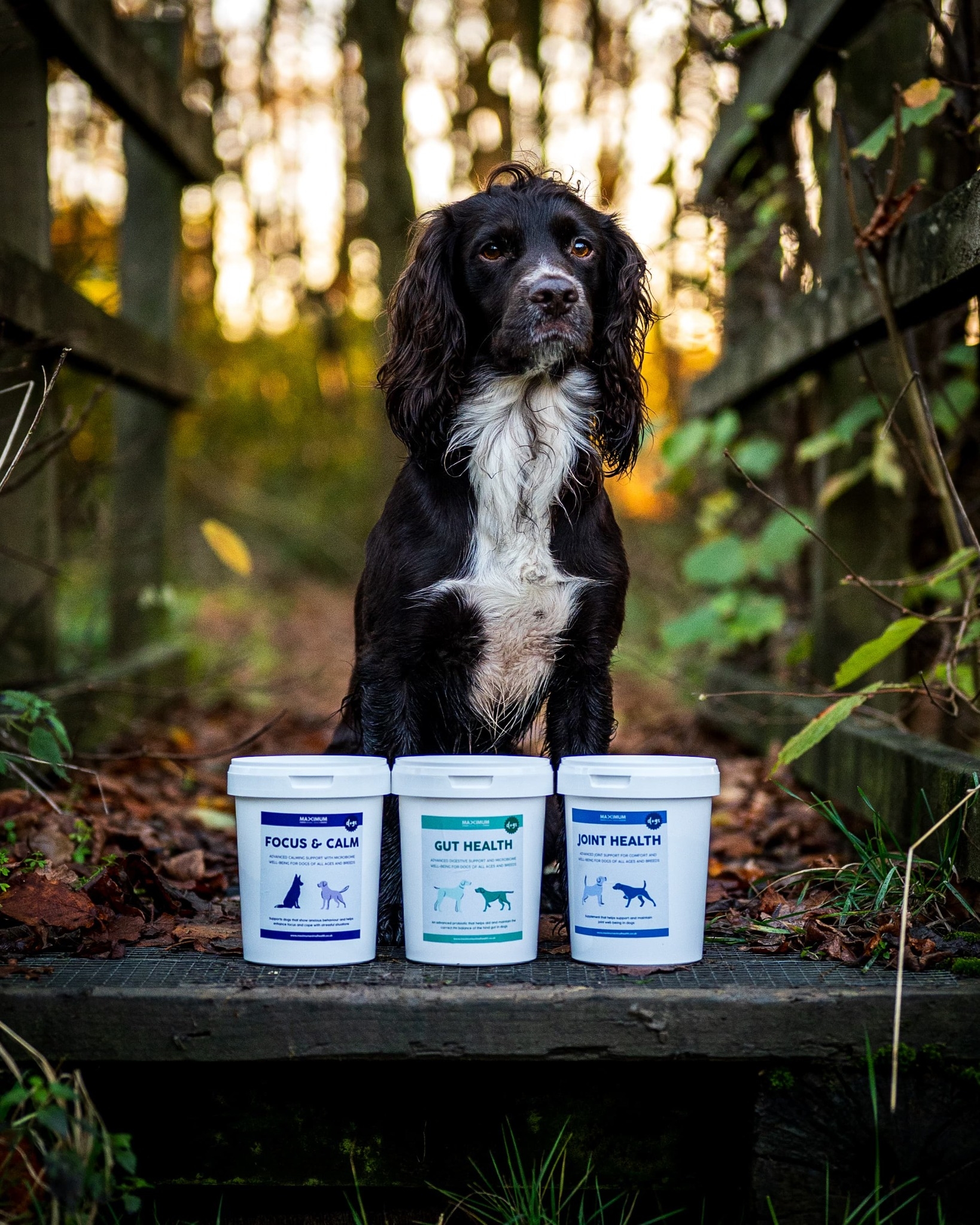 🐾𝗕𝗲 𝗣𝗮𝗿𝘁 𝗼𝗳 𝗢𝘂𝗿 𝗡𝗲𝘄 𝗣𝗿𝗼𝗱𝘂𝗰𝘁... - Maximum Health for Dogs | Facebook