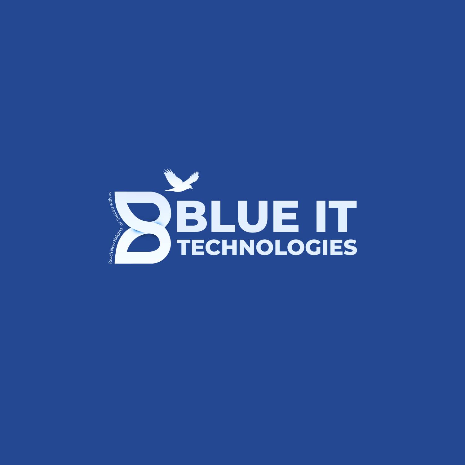 Blue-IT Technologies | Lahore