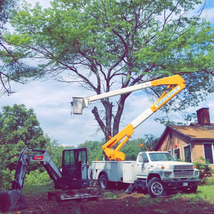 Gentilini Tree Service