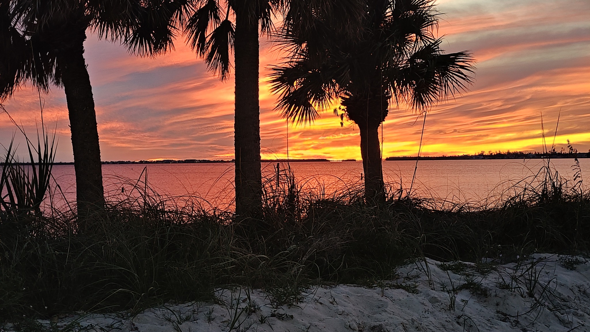 Cape Coral Dockside Retreat | Cape Coral FL