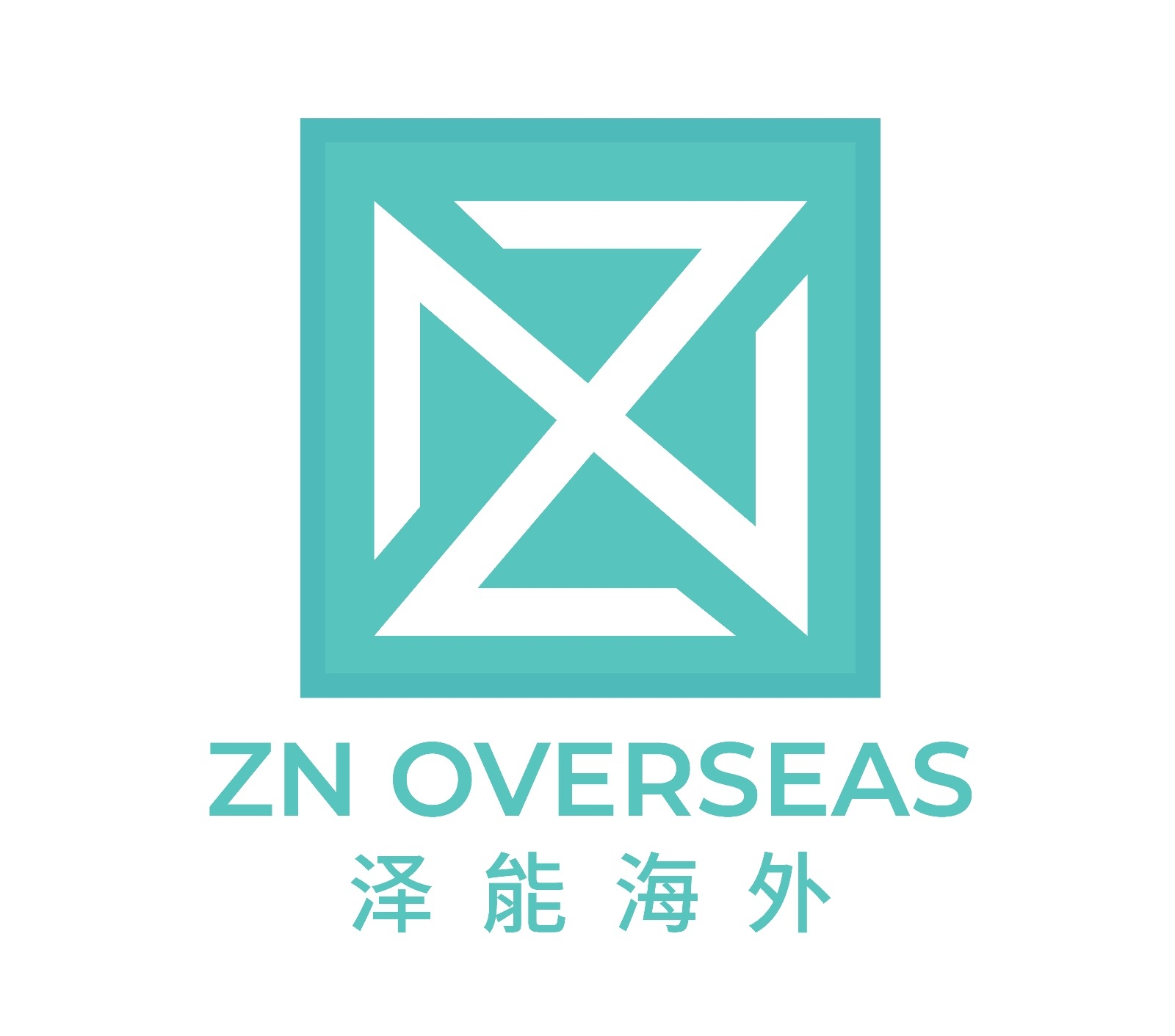 ZN Group 泽能海外 | Singapore Singapore