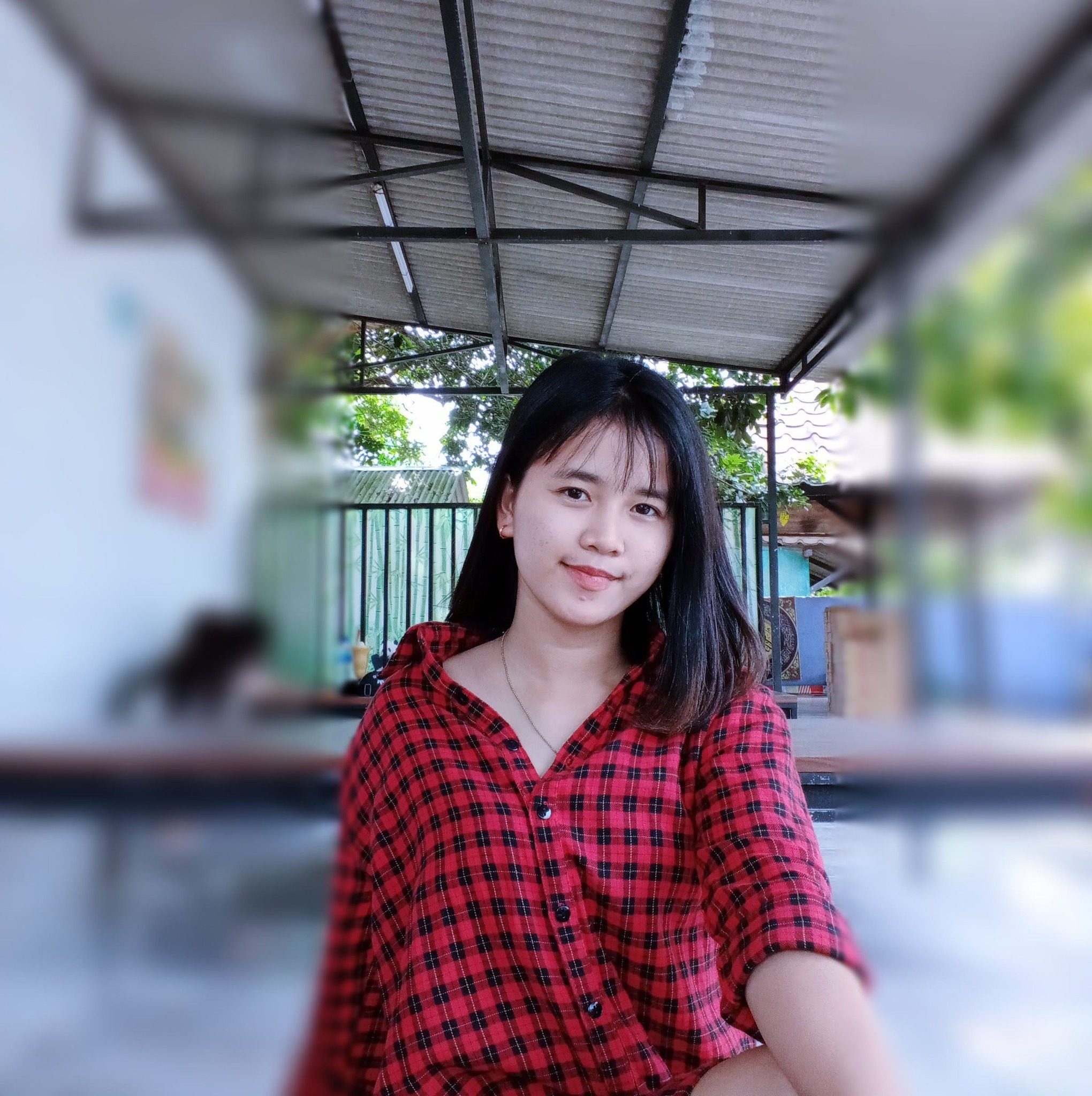 Lincee