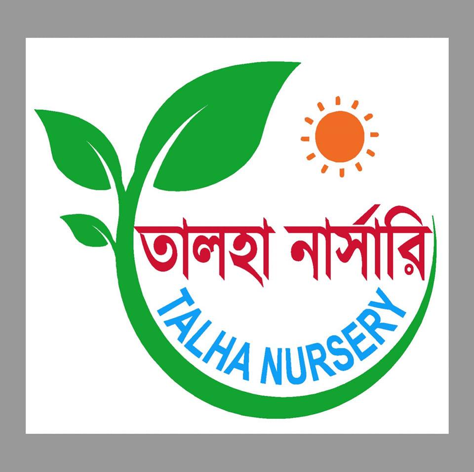 তালহা নার্সারি