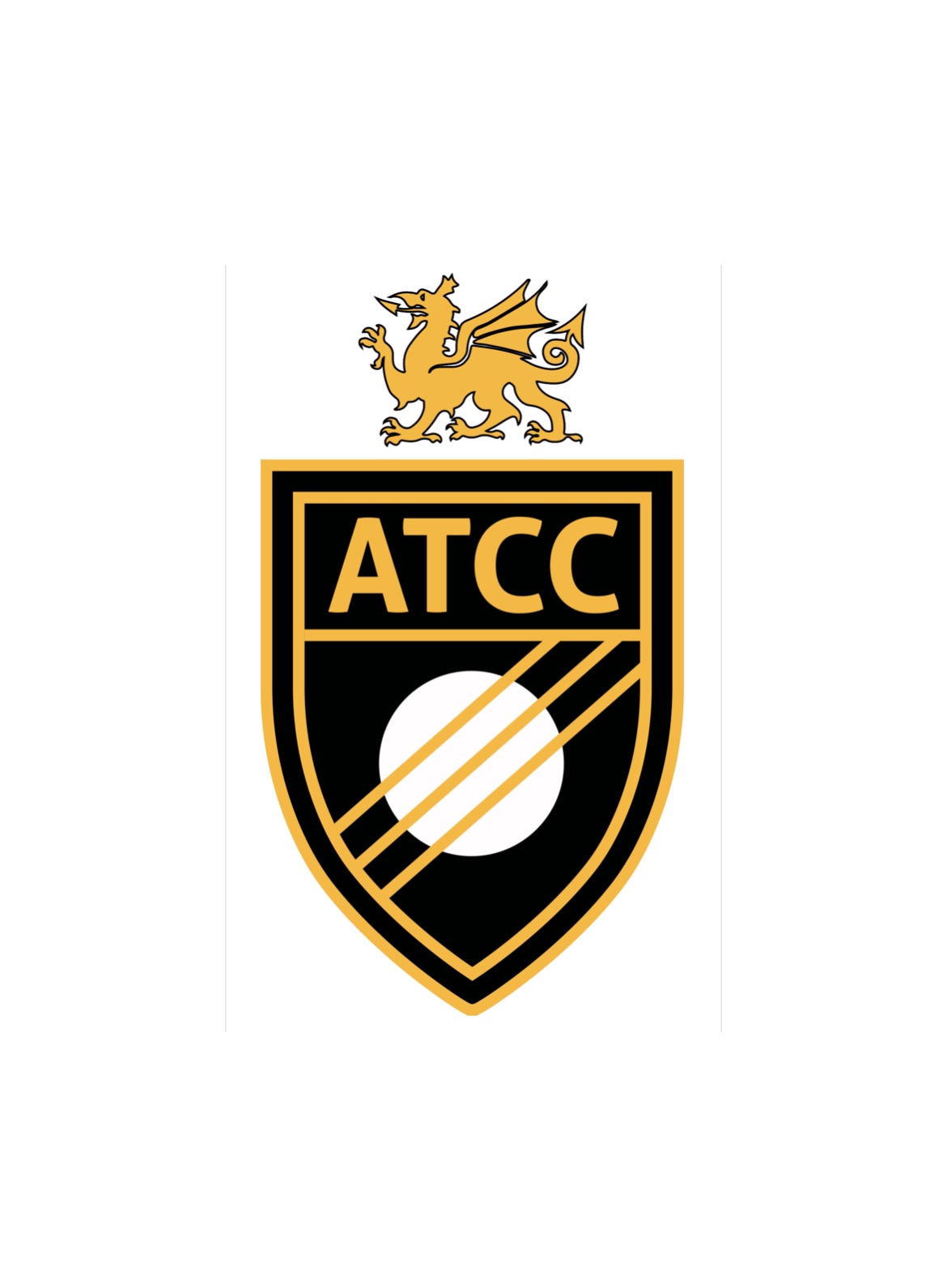Abertillery Town Cricket Club | Abertillery