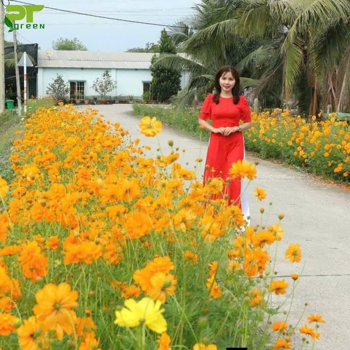 CHỢ RAU GIỐNG🍀🍀🍀 | Facebook
