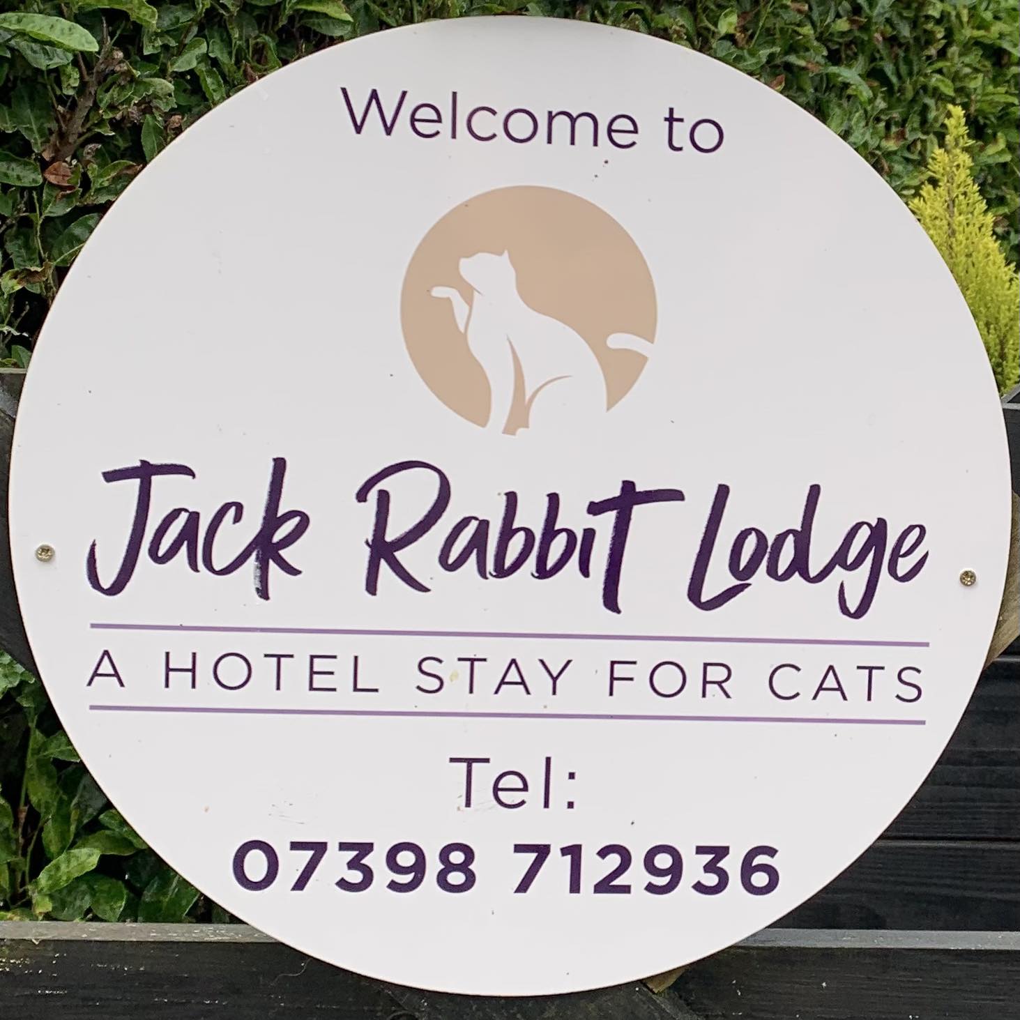 Jack Rabbit Lodge..A Hotel Stay For Cats | York