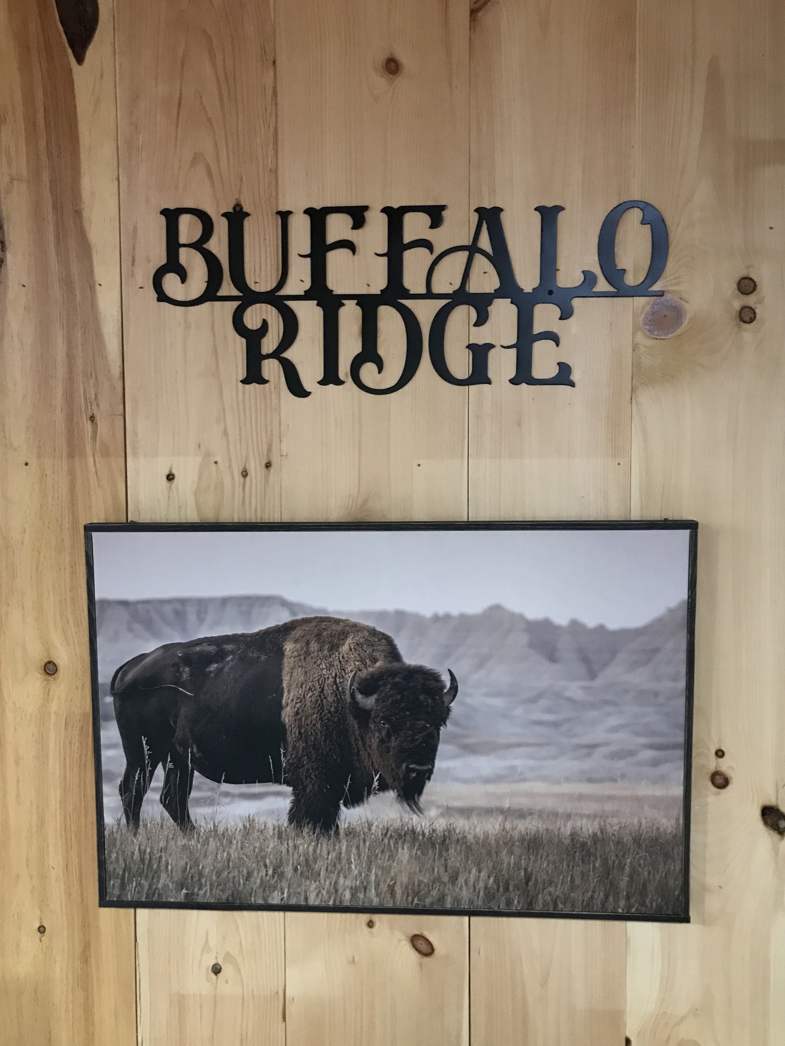Buffalo Ridge