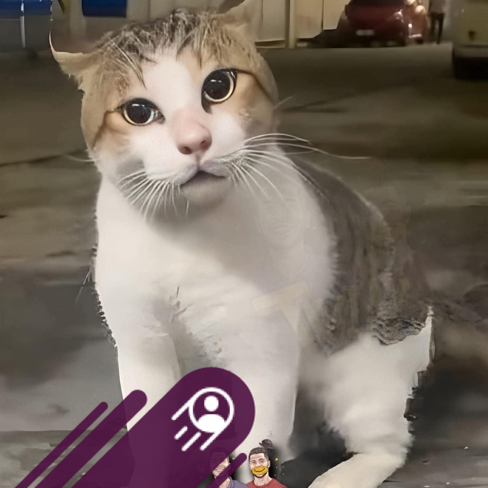 الصاوي اللي عجن جمعه