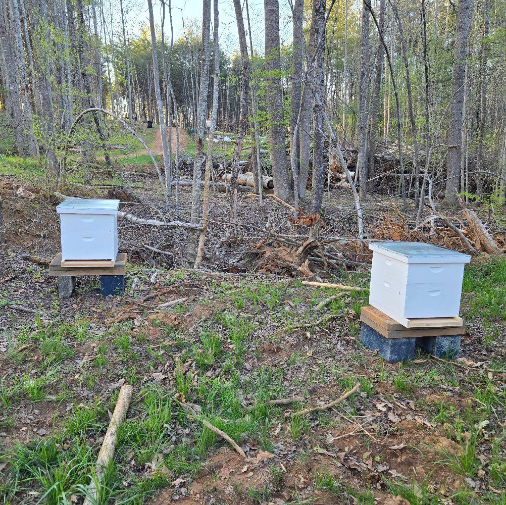 Three Trees Farm | Arrington VA