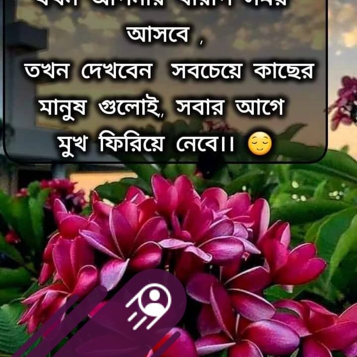 দীর্ঘ দিন পর আবারও সোনার মদিনা গজল গাইলেন‼️ আল্লামা আবুল কাশেম নূরী