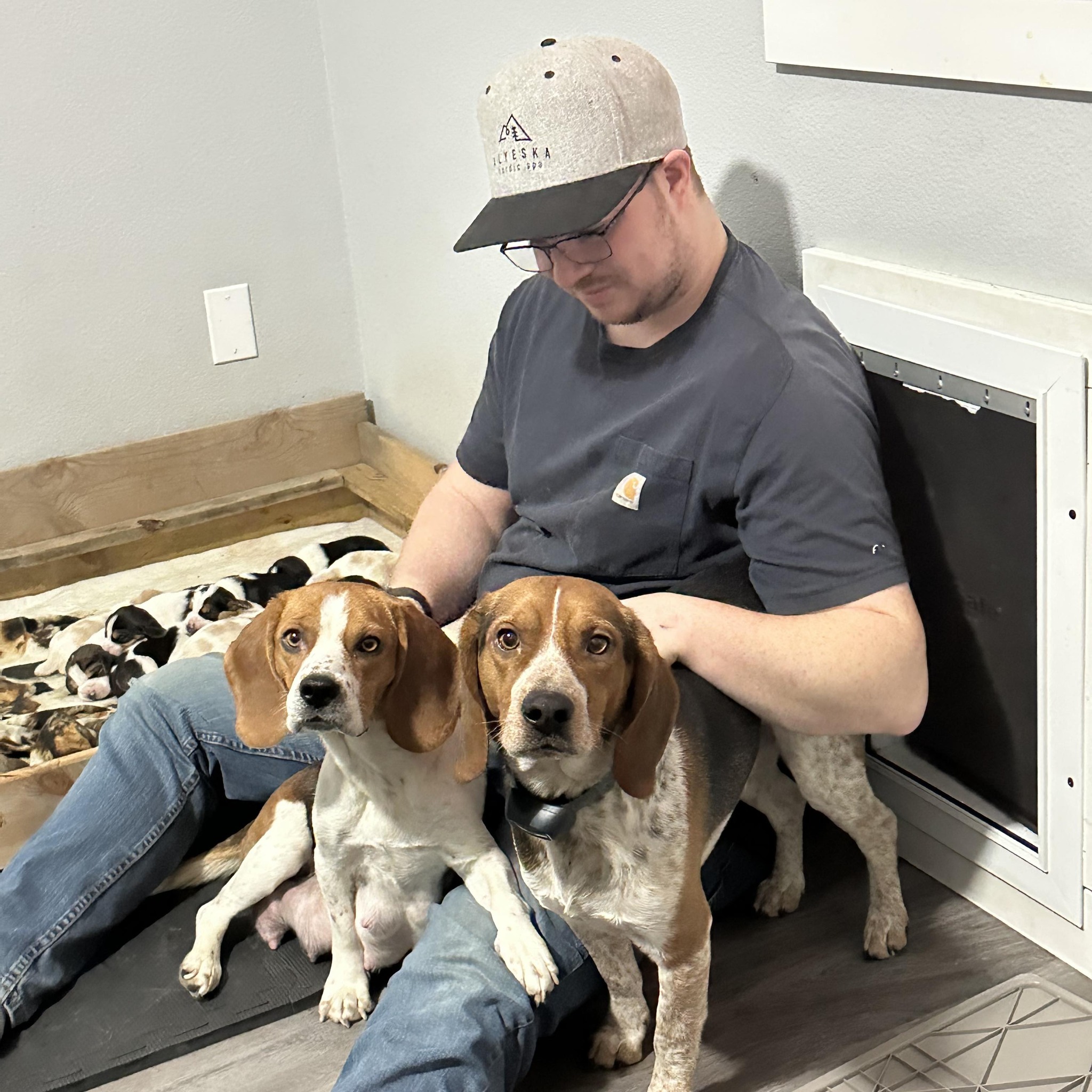 Matsu Ellibee Beagles | Wasilla AK