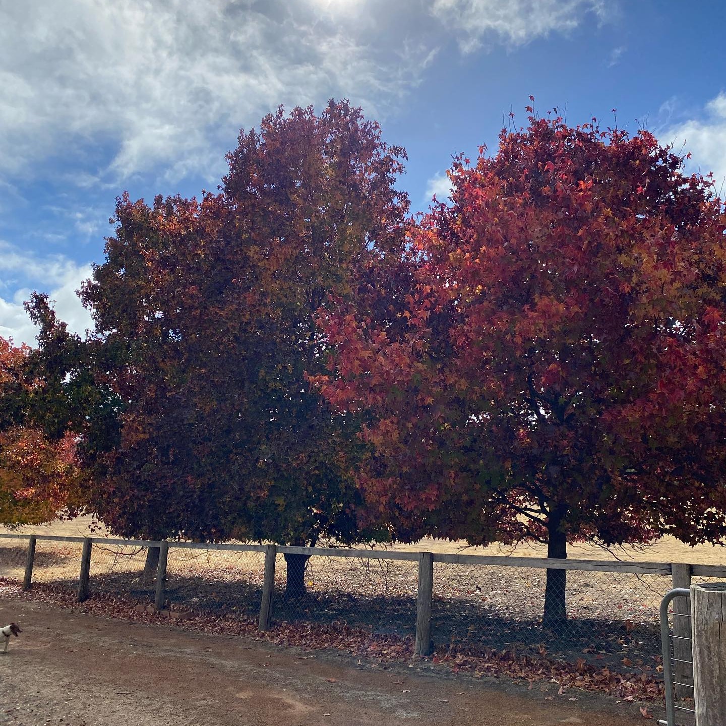 Amber Ridge Estate | Donnybrook WA