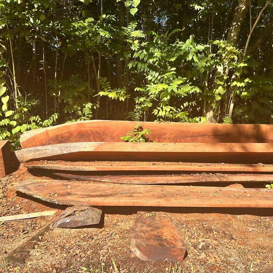 Montesh Timber Inv