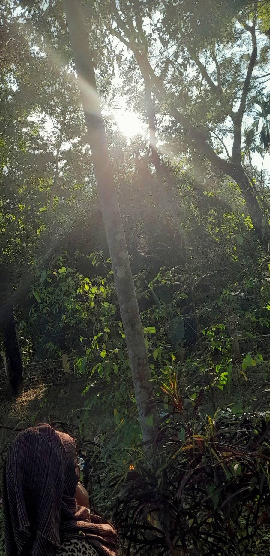Exploring Nature with Eva | Barisal