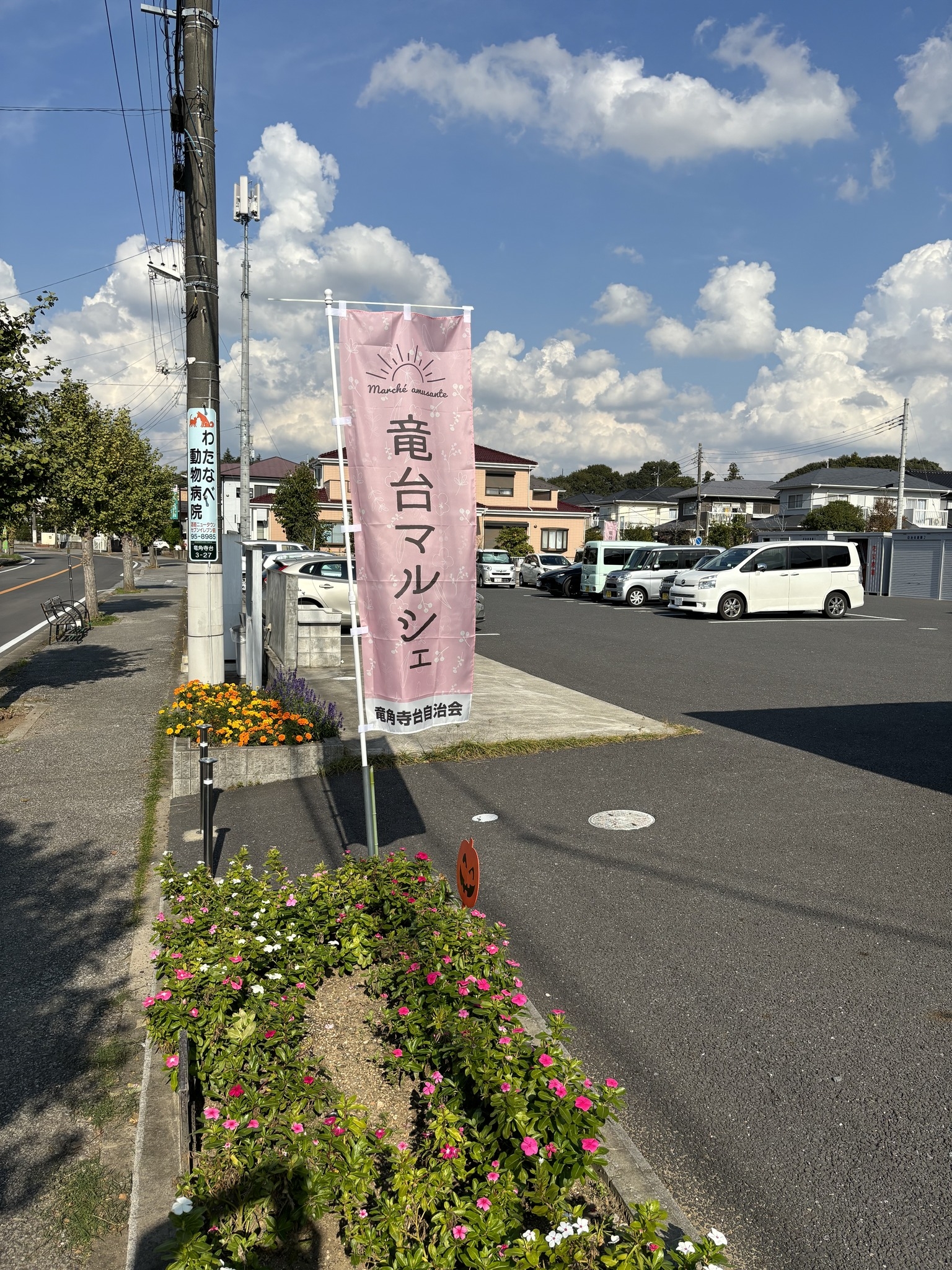 活動歴および当時の関連ビジュアル記録