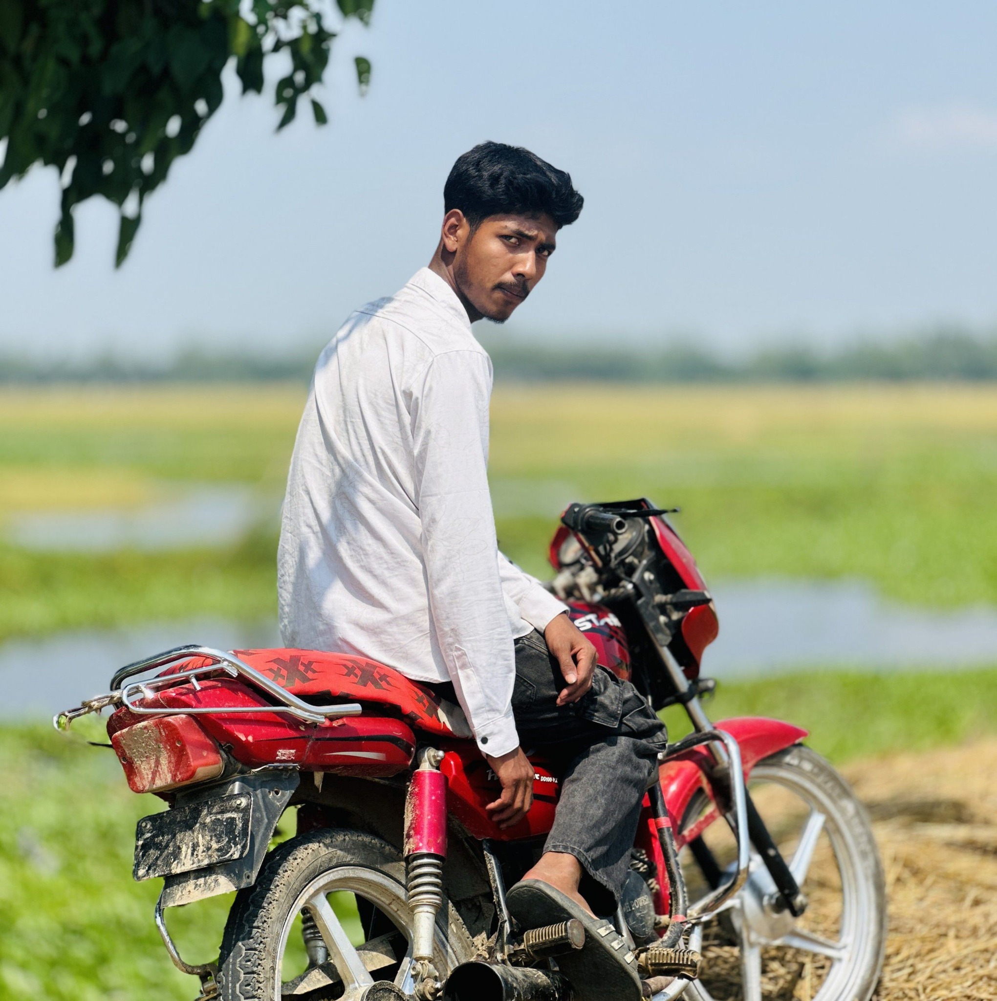 Pro Rider 100
