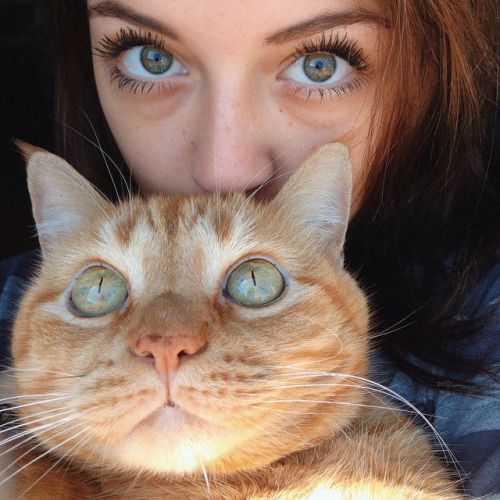 Cats Society | Facebook