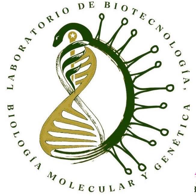 Laboratorio - Que el 2026 consolide proyectos, fortalezca alianzas y ...