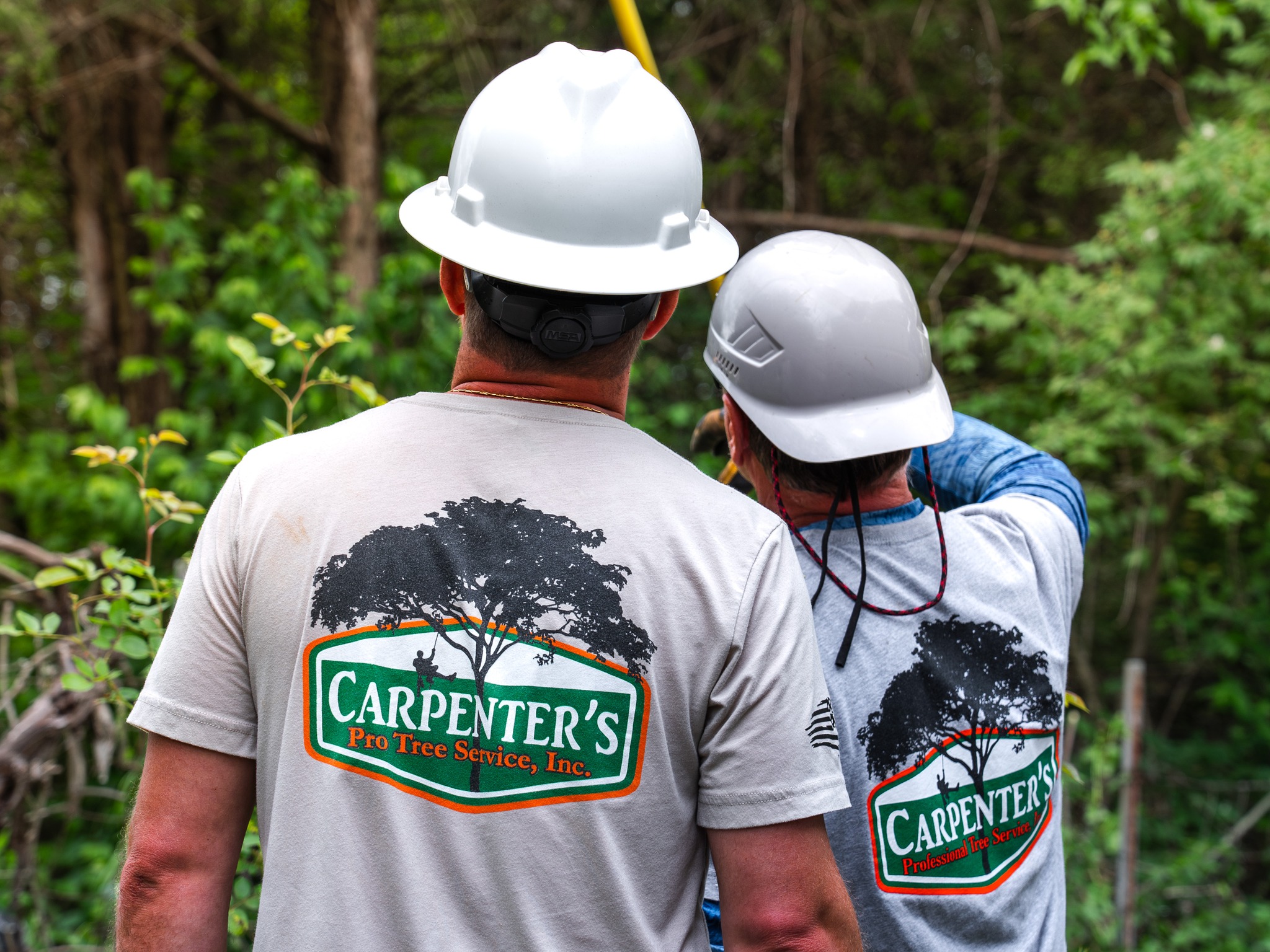 Carpenter's Pro Tree Service, Inc