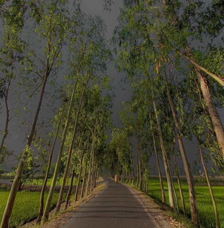 ইতিহাস রেকর্ড অফার -৩৫০/- ️ ️ | Zayaans Collection