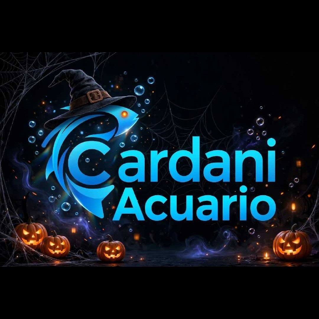 Cardani Acuario | Mexico City