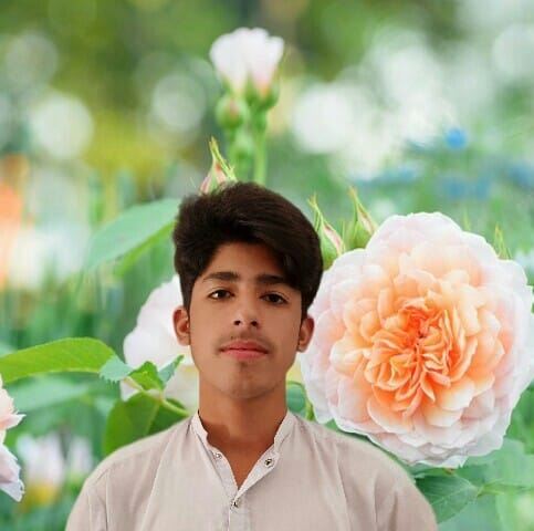 Waheed Khan