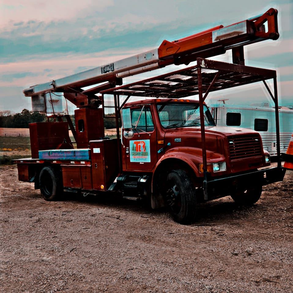 Trophy Ridge Tree Services LLC | Bellevue MI