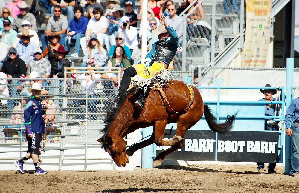 Clermont Rodeo 2024 | Melbourne VIC