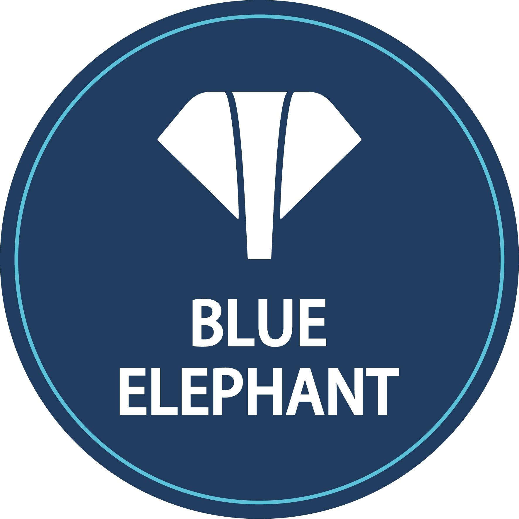Blue Elephant CNC Router Machine | Jinan