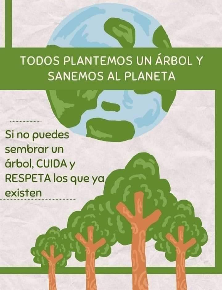 Estuco Azva
