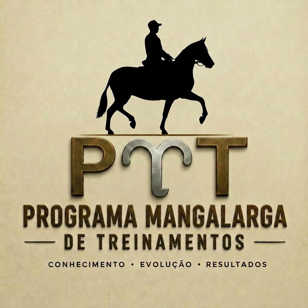 GT STORE | Santo Antônio de Posse SP