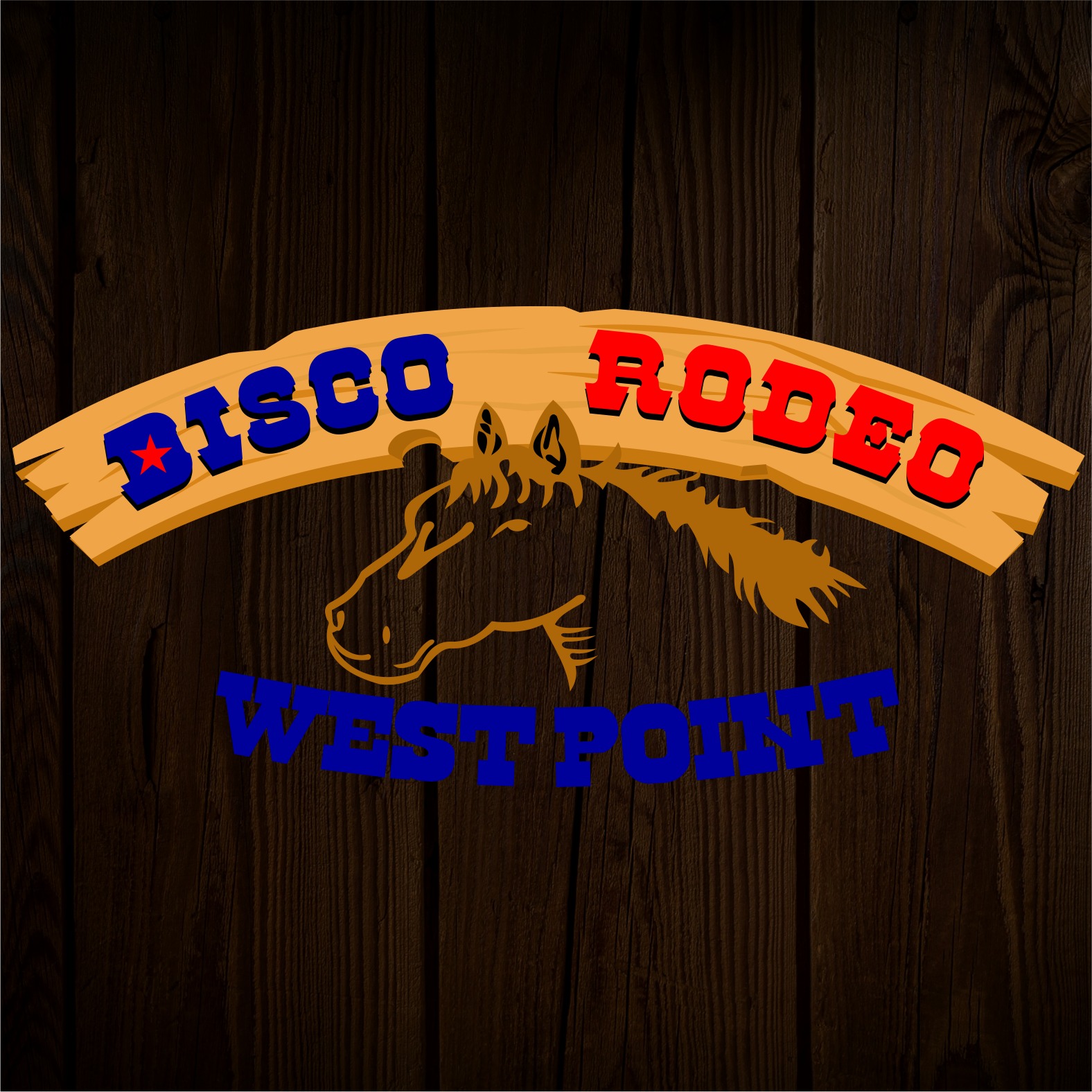Disco Rodeo West Point