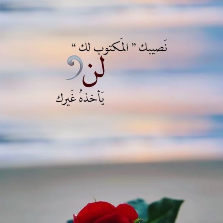 Daily Problem Solver- حلول إلكترونيات وأدوات البيت الذكي في مصر | Facebook