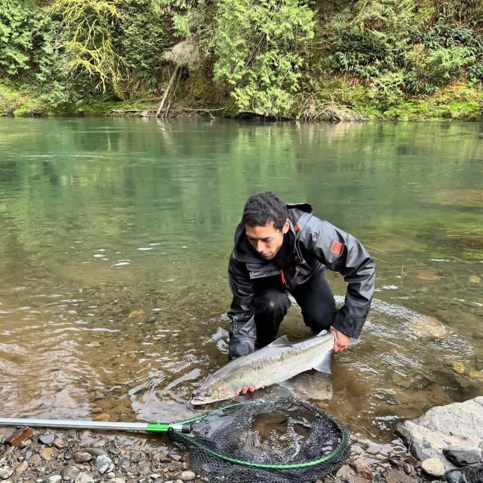 Santiam River Fishing Report | Facebook