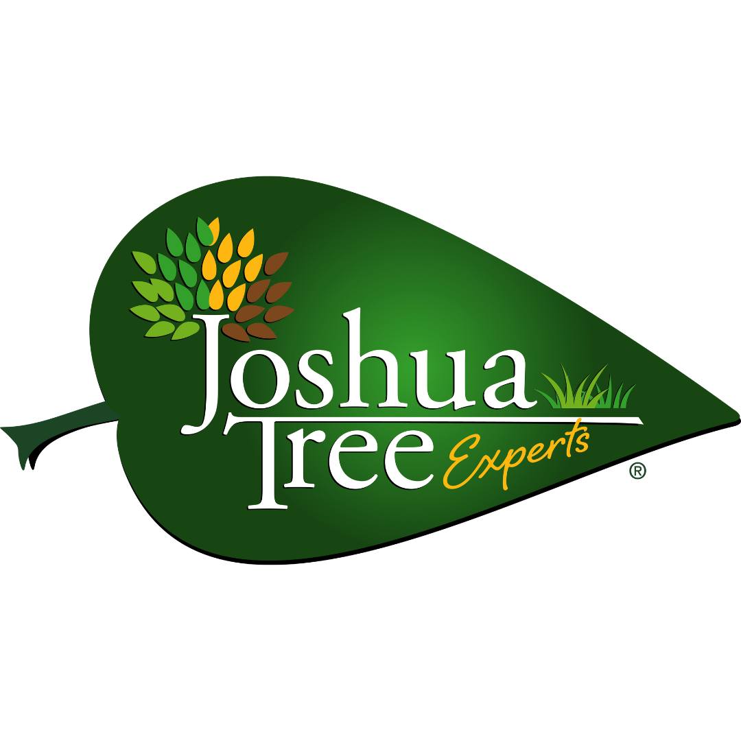 Joshua Tree Experts - Morristown, NJ | Clifton NJ