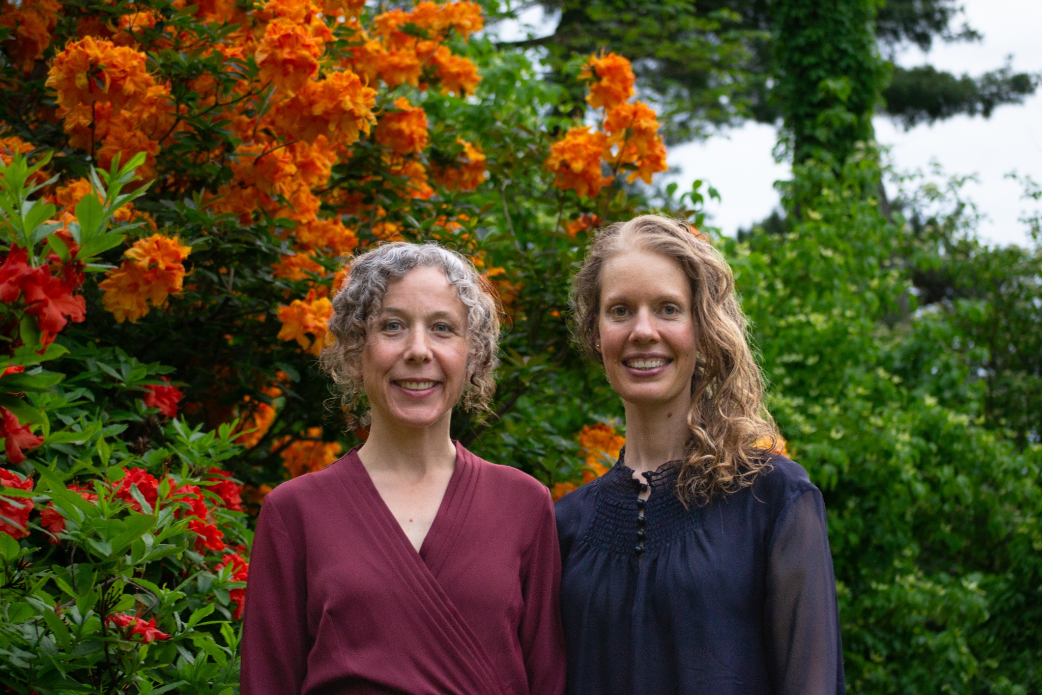 Fiddleheads Forest & Art Camp