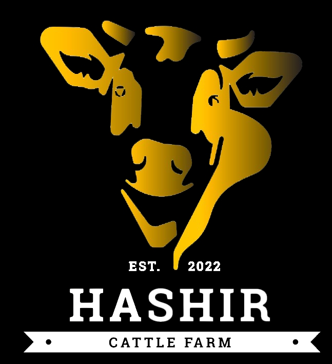 Hashir Cattle farm