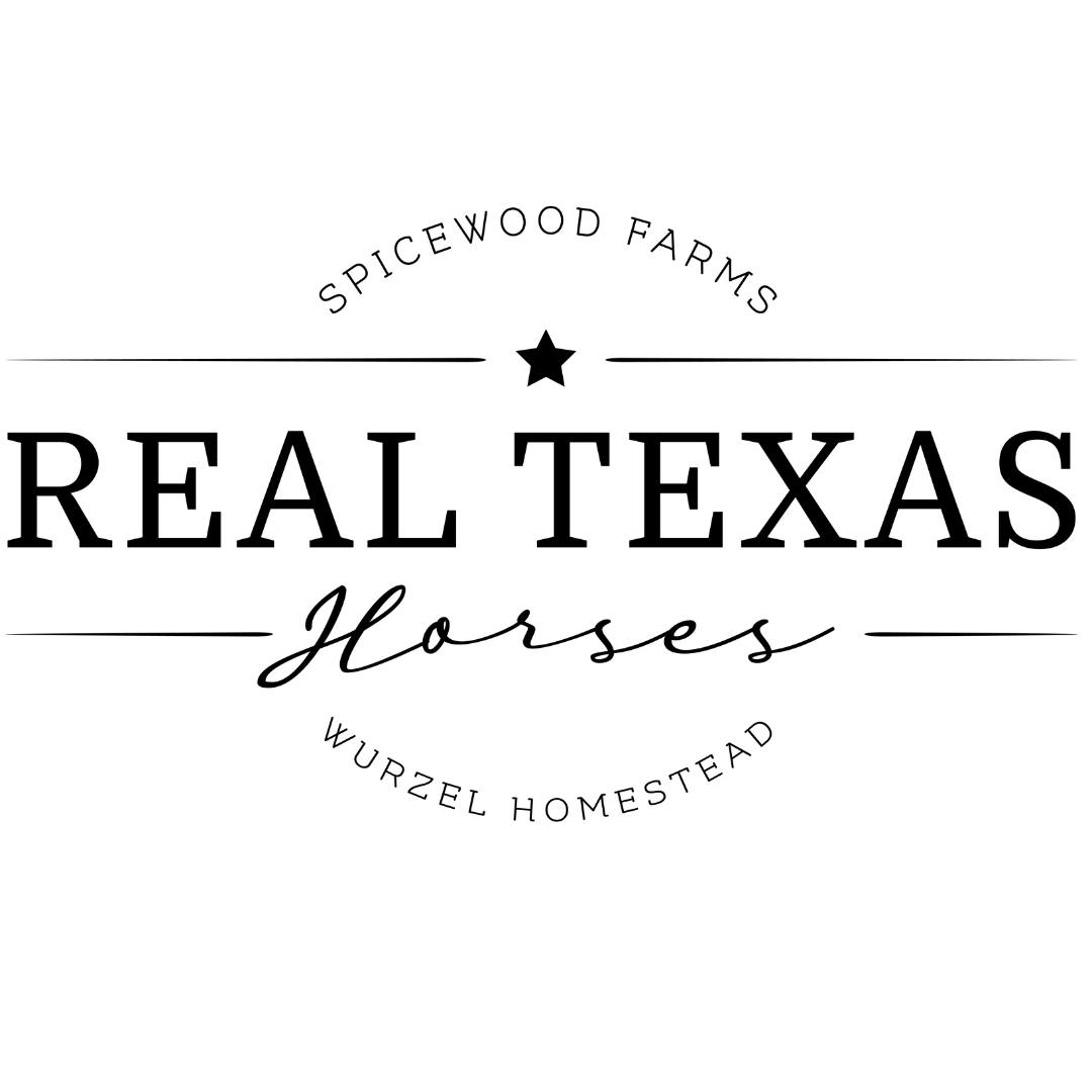 Real Texas Horses at Spicewood Farms | Spicewood TX