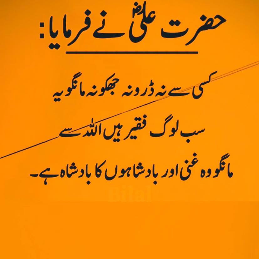 Sheikh Hamid