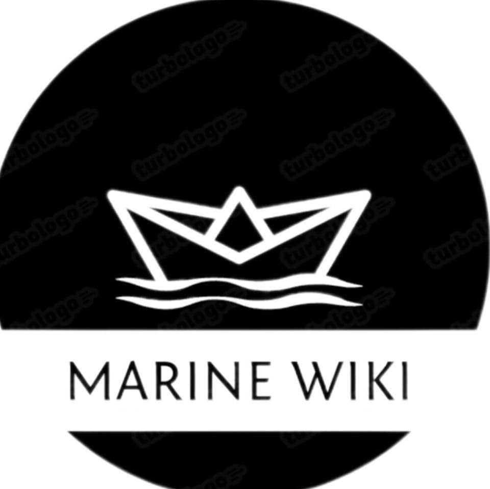 Chief Engineer & Marine engineer | ECR on ships stands for Engine ...