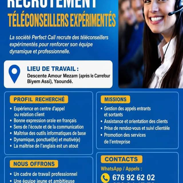 Perfect CALL Center