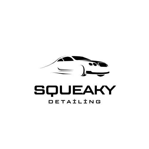 Squeaky Cleaning service & Auto Detailing