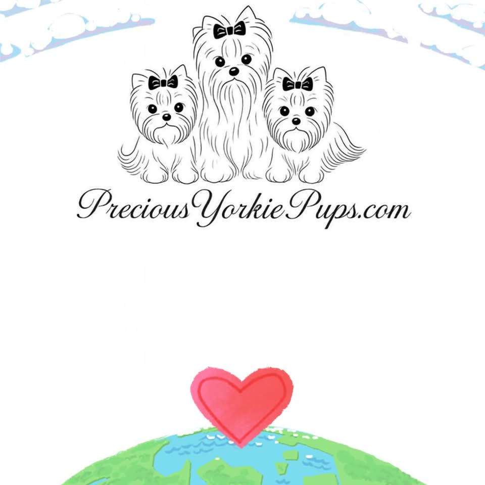 Desiree Doyle - What Coconut really did today while we... | Facebook